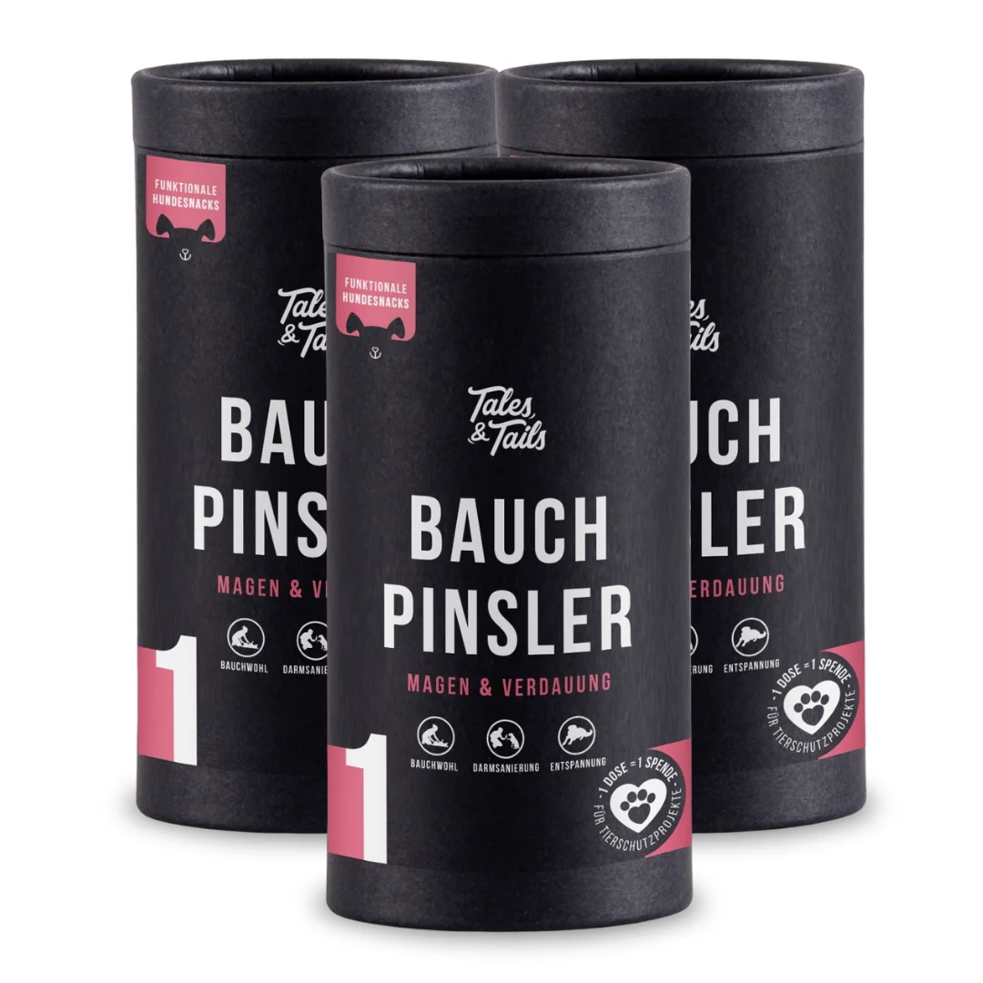 Tales & Tails Bauchpinsler für den Magen und die Verdauung von Hunden in schwarzer Dose mit weißer Schrift