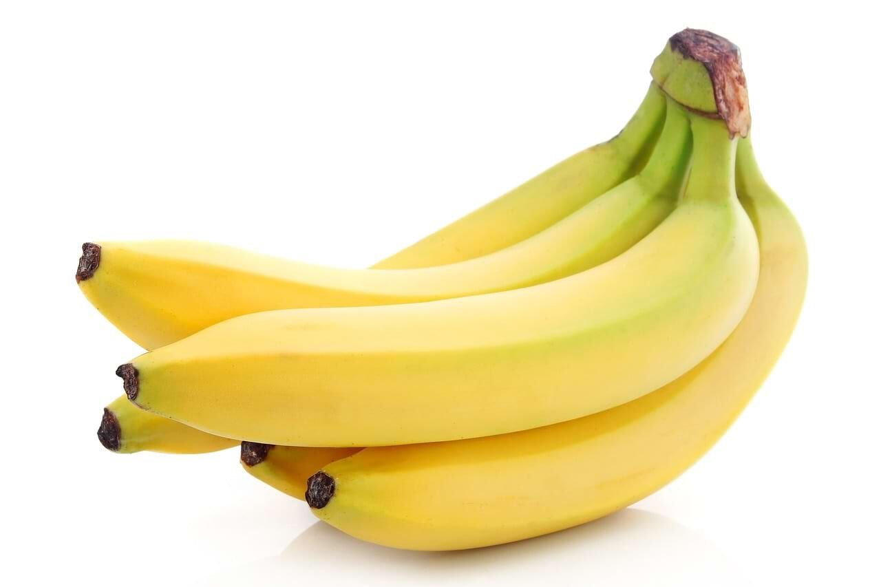 Bananenbund Banane Barflexikon für Hunde