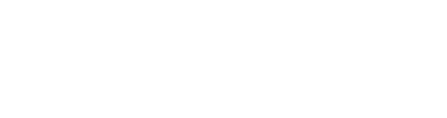 Paypal logo weiss