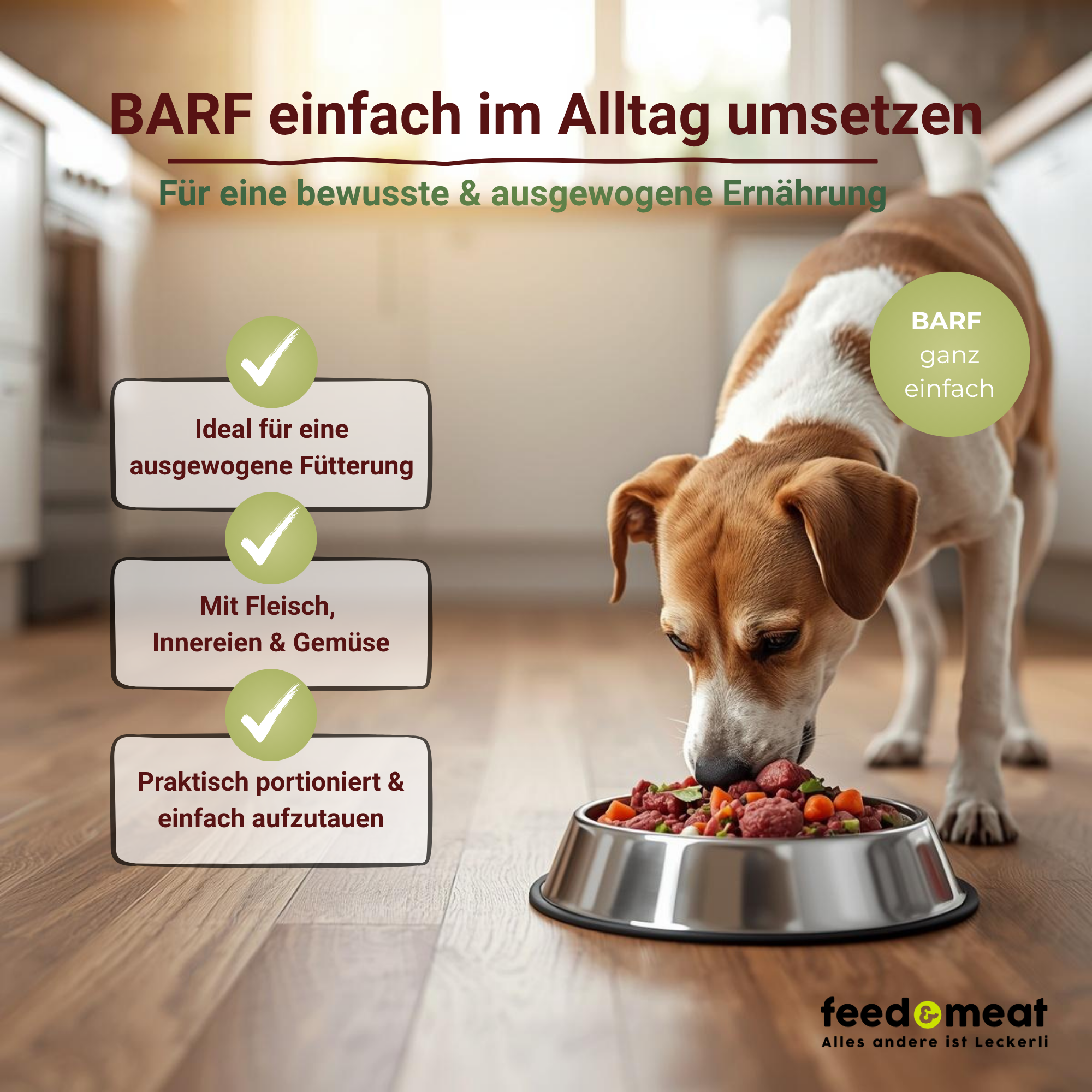 barf-hund-fuetterung-napf-rohfleisch-gemuese BARF Fütterung für Hunde – Hund frisst Rohfleisch mit Gemüse im Napf, einfaches und ausgewogenes BARFen im Alltag