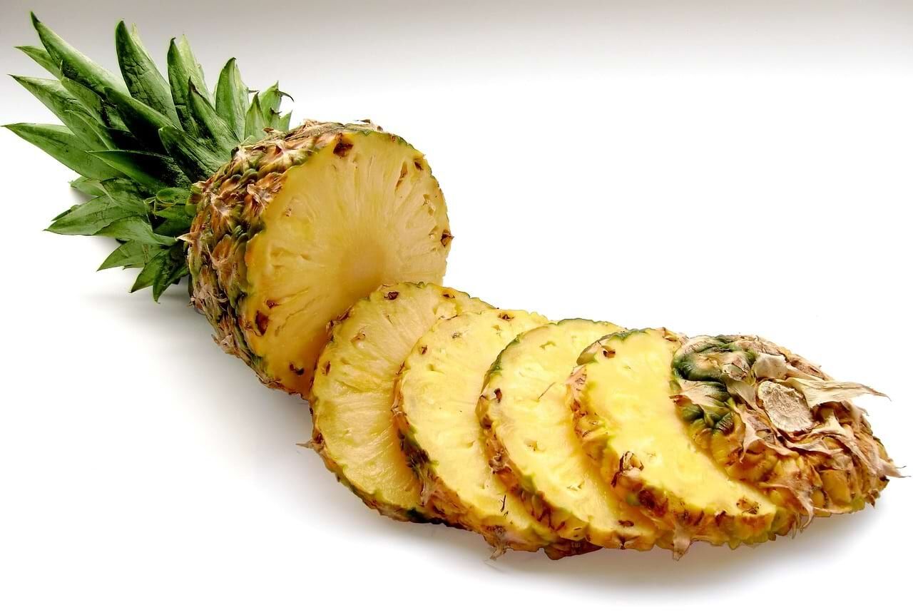 Ananasscheiben Ananas barflexikon für Hunde