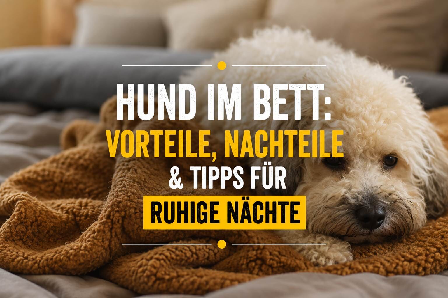 Kleiner heller Hund liegt entspannt auf einer Decke – Hund im Bett.