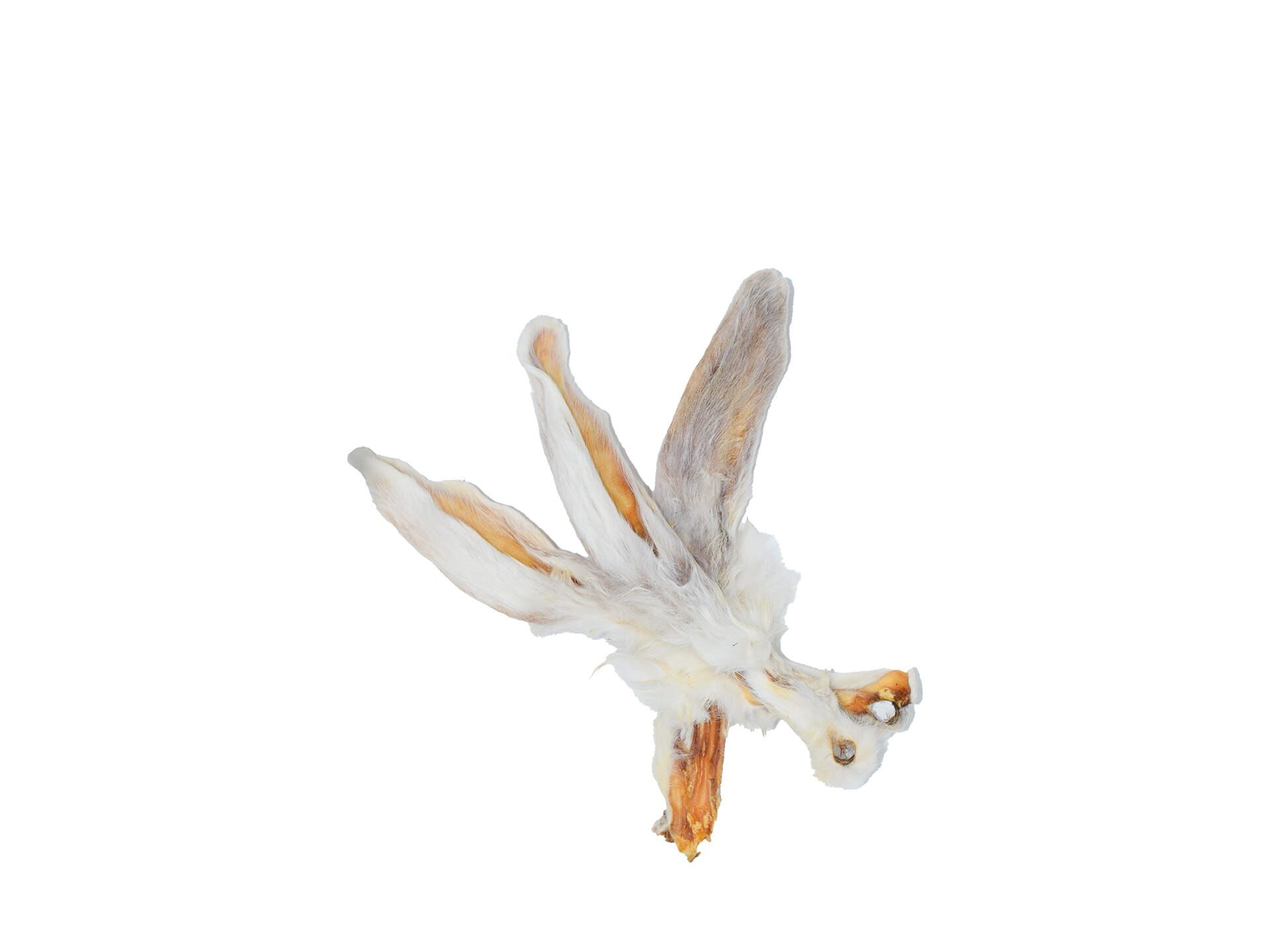 Barf_Kaninchenohren weiß mit Fell für Hunde