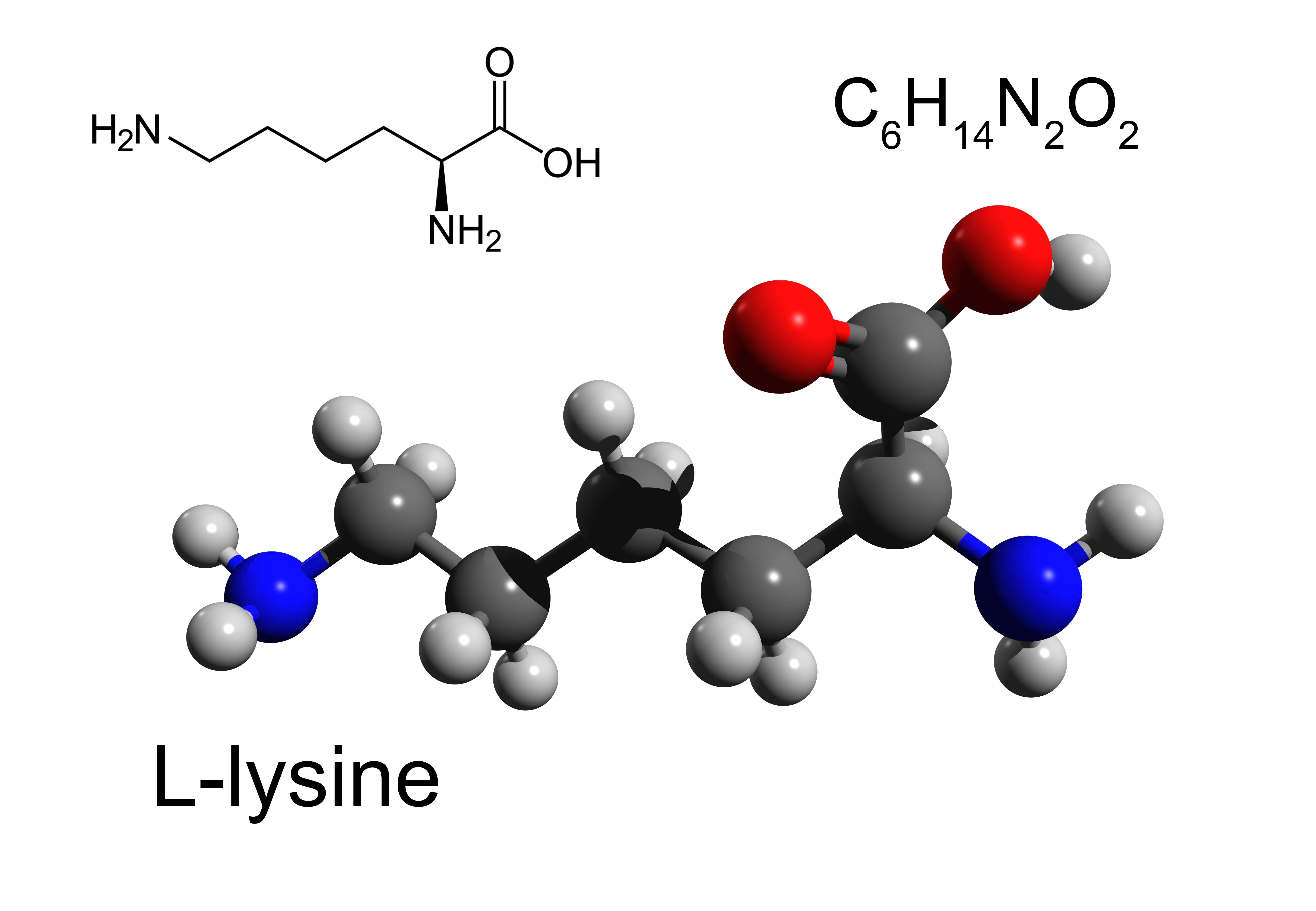 l-lysin L-Lysin feedandmeat Barflexikon für Hunde