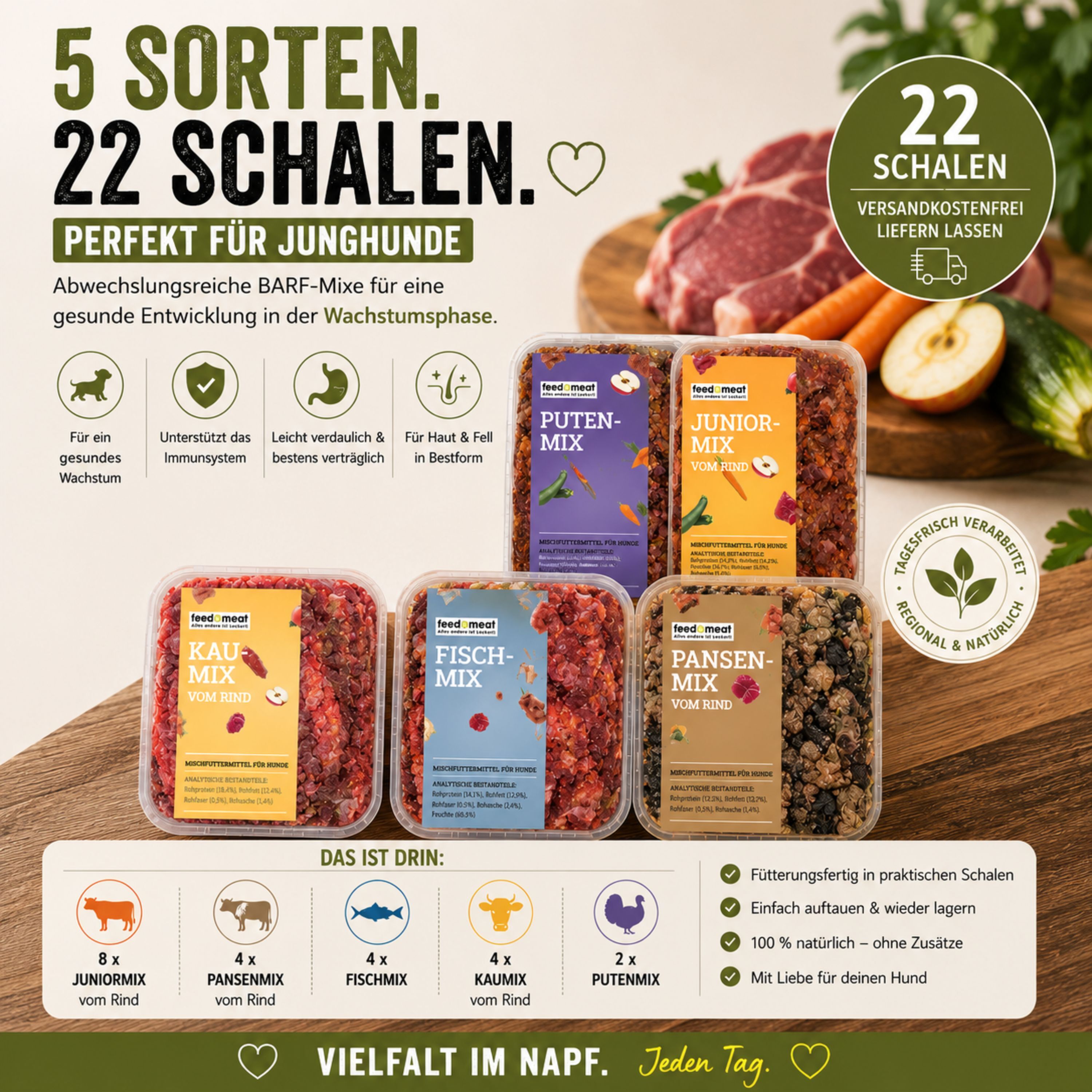 Übersicht des BARF Juniorpakets für Junghunde mit 22 Schalen BARF-Futter. Enthalten sind Juniormix, Pansenmix, Fischmix, Kaumix und Putenmix in praktischen 500-g-Schalen für eine abwechslungsreiche Rohfütterung während der Wachstumsphase.
