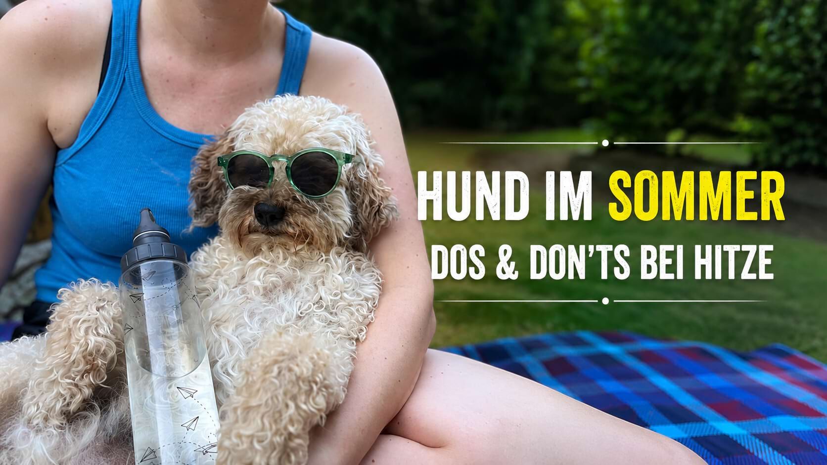 Hund mit Sonnenbrille und Wasserflasche im Sommer – Dos und Don'ts bei Hitze.