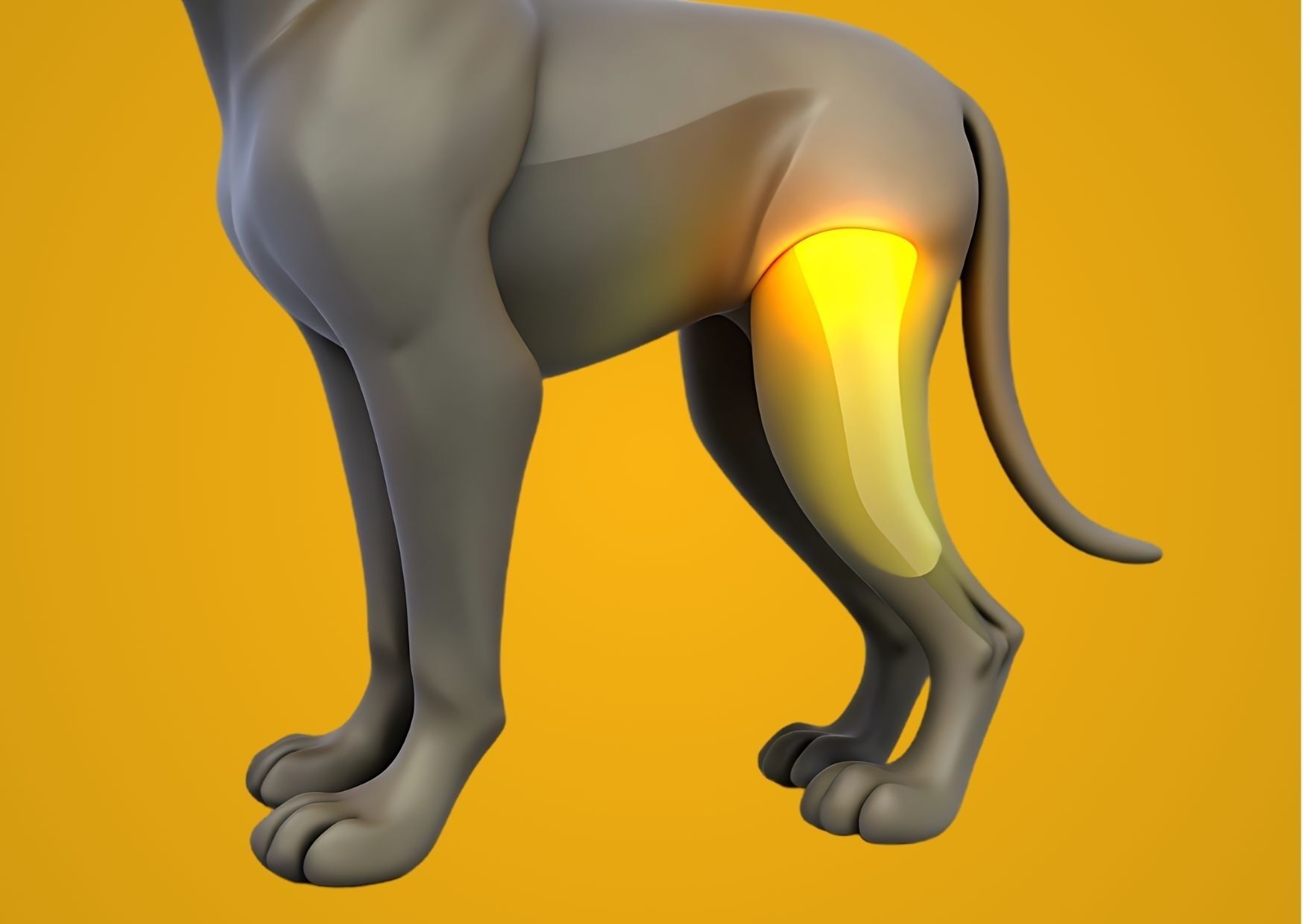 Hund auf gelbem Hintergund mit Gelenkproblemen