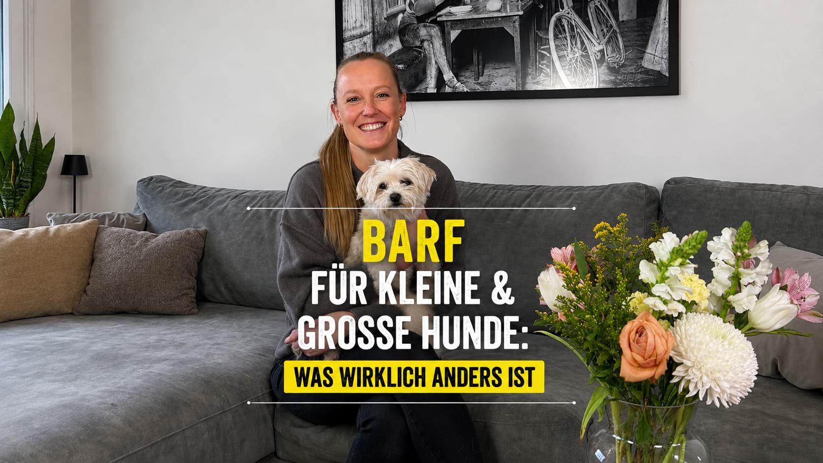 Frau mit kleinem Hund auf dem Sofa – BARF für kleine und große Hunde.