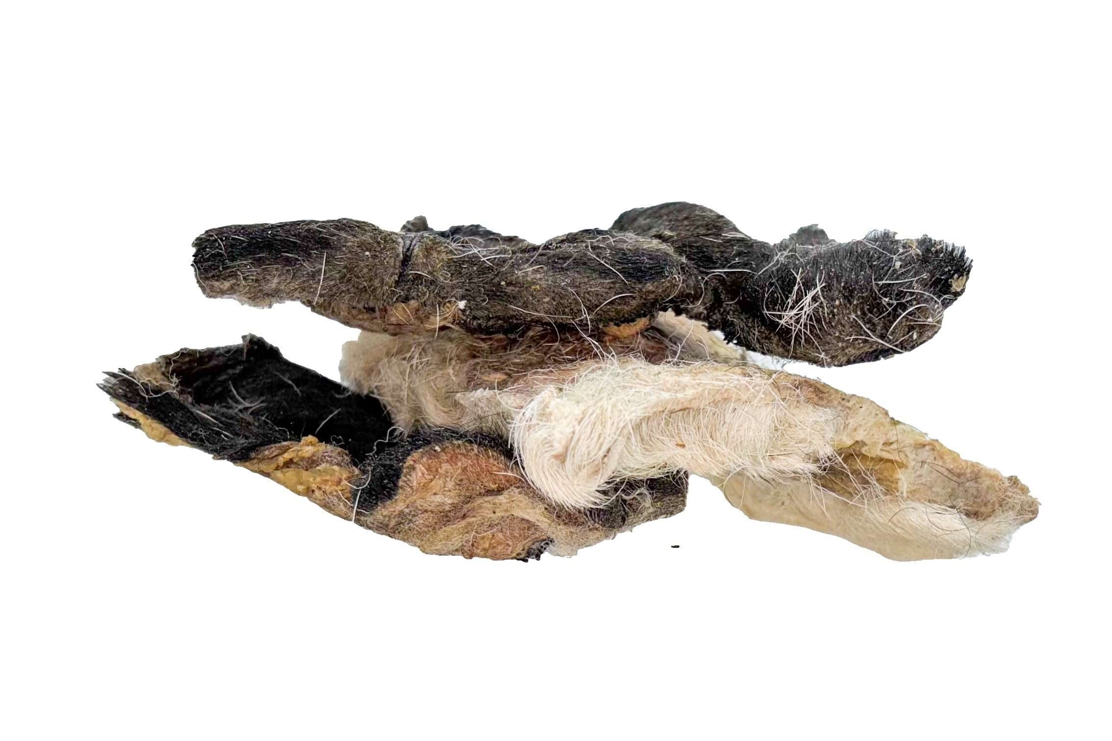 Getrocknete Lammkopfhaut für Hunde 