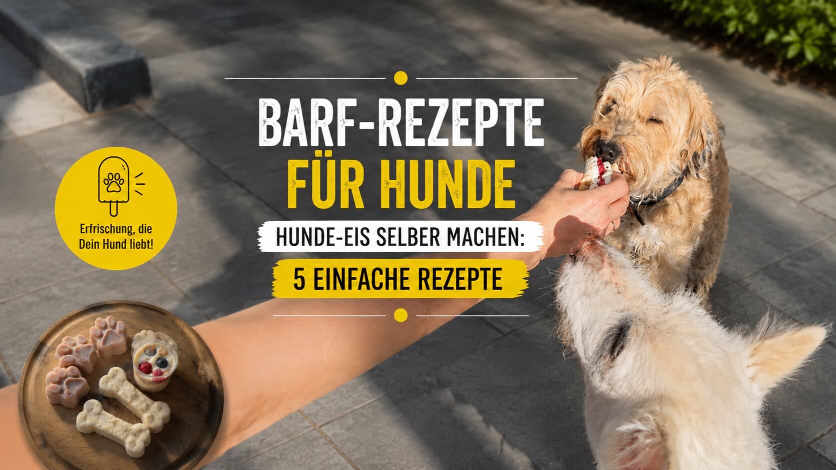 Zwei Hunde bekommen selbstgemachtes Hunde-Eis mit der Überschrift „Hunde-Eis selber machen – 5 einfache BARF-Rezepte“