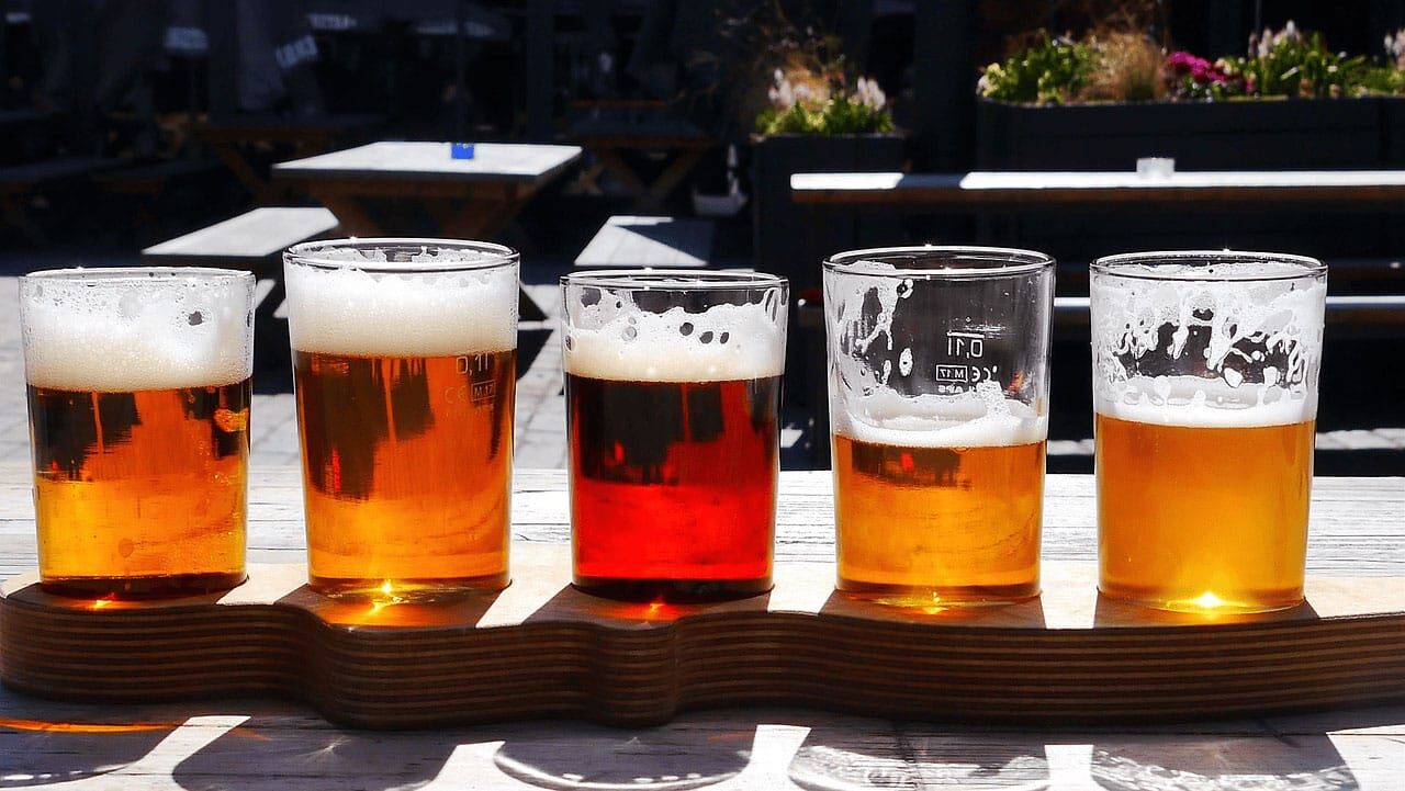 Bierhefe Barflexikon für Hunde